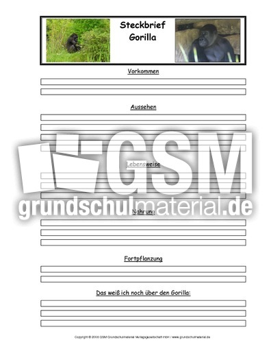 Gorilla-Tiersteckbriefvorlage.pdf